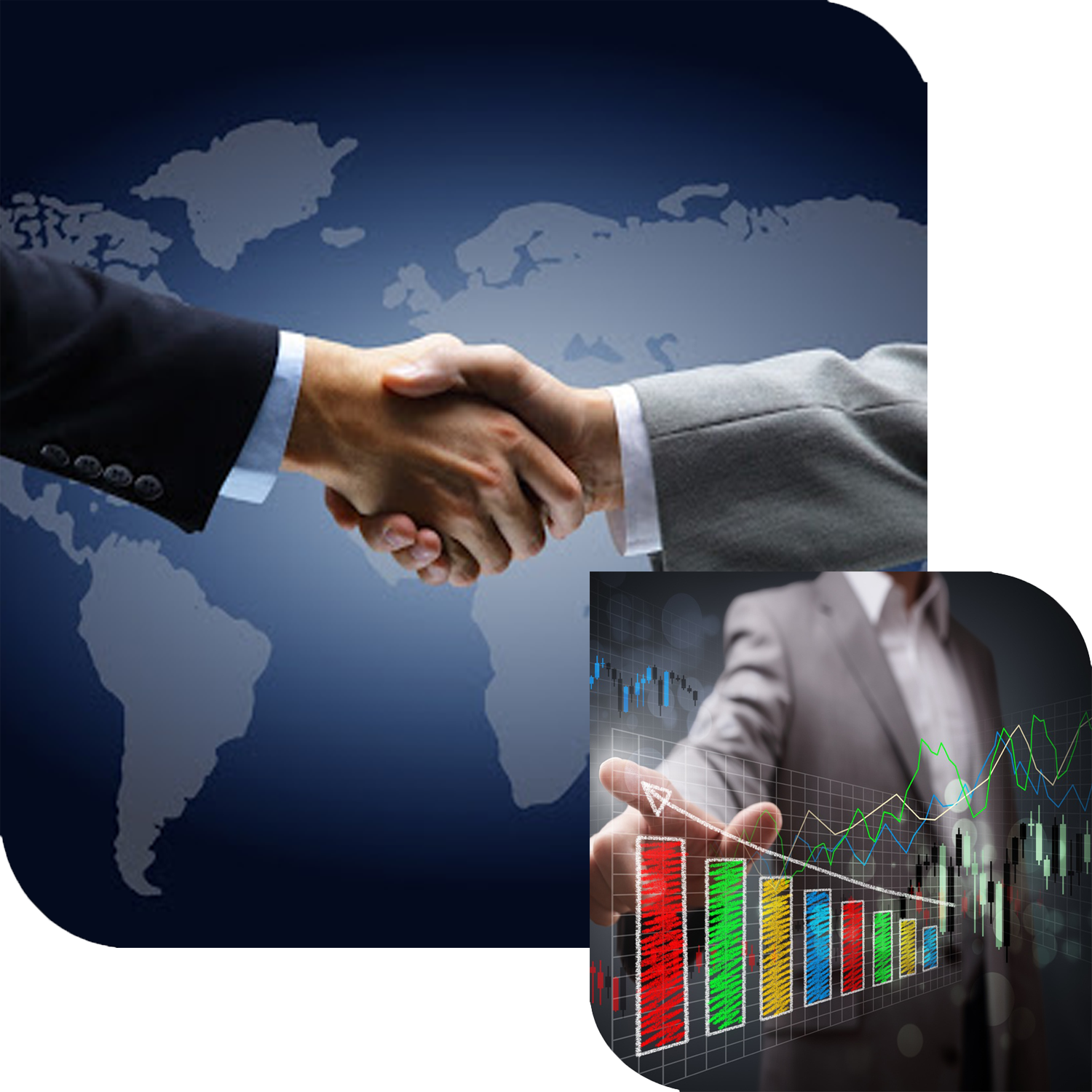 Hembird International Contact